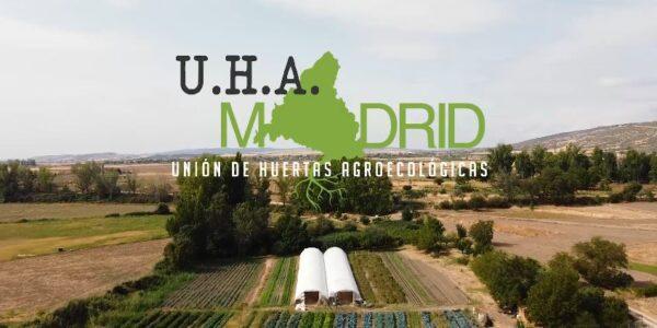 Foto de una huerta de la UHAM