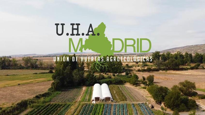 Foto de una huerta de la UHAM